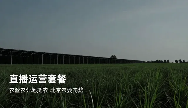 内容维护驱动直播运营,企业宣传迎来新机遇